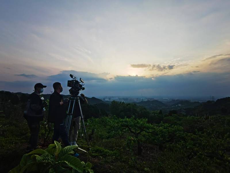 聚焦沅江市产品宣传视频拍摄公司，用专业实力铸就品牌传播传奇