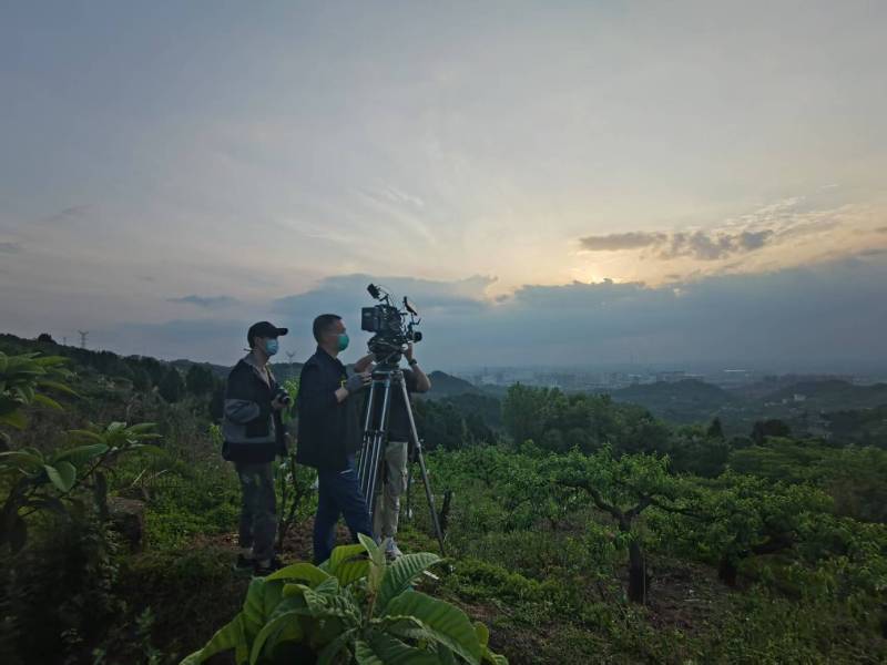 创意破圈！沅江市电商产品宣传视频用故事化叙事引爆流量