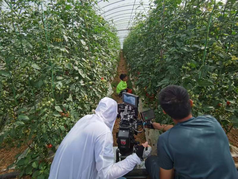 沅江市产品宣传视频拍摄公司进阶指南，助力品牌抢占传播高地